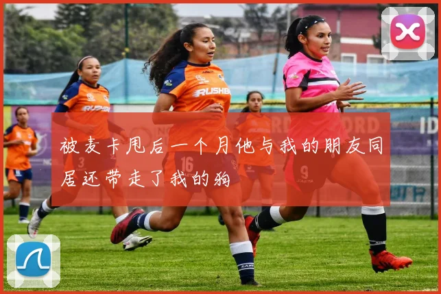 被麦卡甩后一个月他与我的朋友同居还带走了我的狗